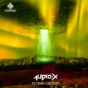 Audio-X - Flying Object
