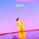 Lorde - Solar Power (Fragile Future Vs. Purple Disco Machine Mashup)