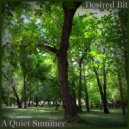 Desired Bit - A Quiet Summer