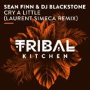 Sean Finn & DJ Blackstone - Cry A Little