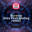 Asher Swissa, Imar - Burning