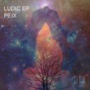 PEIX - Uro\'s Tought (Original mix)