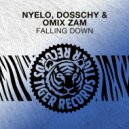 Nyelo, Omix Zam, Dosschy - Falling Down
