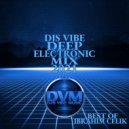 Djs Vibe - Deep Electronic Mix 2021 (Ibrahim Celik Best Of)