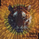 tiiiger & Pick a Piper - Space (Pick A Piper Remix)