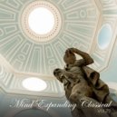 Budapest Strings - Concerto For Flute, Guitar And Strings In E Minor: III. Allegro