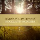 Harmonic Pathways & Nature on Record - Woodland Wonders