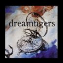 Dreamtigers - Fools