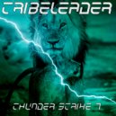 Tribeleader - EVOLVE (Original Mix)