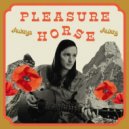 Pleasure Horse - Cold Wind