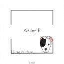 Ander P - I Like It Here