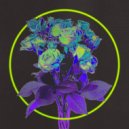 Baltra - Dreaming of a Disco