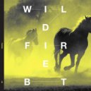 BT - Wildfire