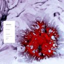 Avidus - Clavigo