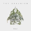 The Organism - Ray of sun