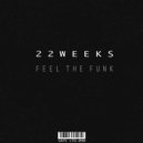 22 Weeks - Feel The Funk