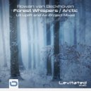 Rowan van Beckhoven - Arctic (Air Project Remix)