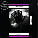 Drucal - Experience