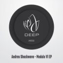 Andres Shockwave - Modulo V