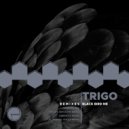 TriGo & Lement K - Black Bird (Lement K Remix)