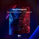 Kenji Sekiguchi - Firespark