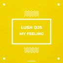Lush Djs - My Feeling