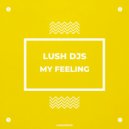 Lush Djs - My Feeling