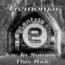 Tremonjai - Joy In Summer (Original Mix)