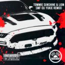Tommie Sunshine & Lion - SMF
