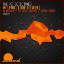 The Pet Detectives - Molehill (Ode to Joel)