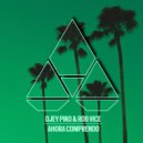 Djey Piko, Rob Vice - Ahora Comprendo (VIP Remix)
