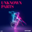 Can Ergun - Unknown Parts (Original Mix)