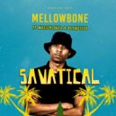 MellowBone Feat MusicHlonza & BlaqZicco - Savatical