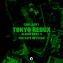 Cam Lasky - Sin (Alternate Mix)