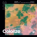 Sound Quelle & Referna - Pelican (Extended Mix)