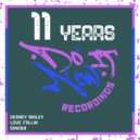 Desney Bailey - Love Fallin (Tso Deep Blue Remix)