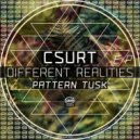 Csurt - Different Realities