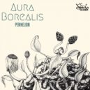 Aura Borealis - Snow Leopard