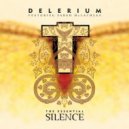 Delirium feat. Sarah McLachlan - Silence