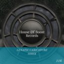 Lunatic Caricature - Shrek (Original mix)