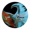 Rebirth - PURE (Bollo Remix feat. Hollie Noelle)