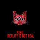 Peku - Reality is not real