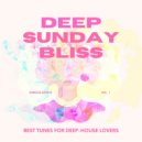 Dub Fundation, R-Slane - Trip Love (Selim Gaston Remix)