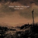 Davide Ricci - Ashes From Fallujah