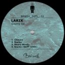 Larix - Neony Miasta