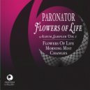 Paronator - Changes
