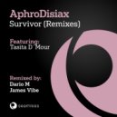 AphroDisiax - Survivor (James Vibe Mix)