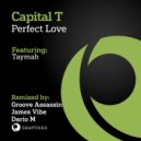 Capital T - Perfect Love (Dario M\'s Beachside Mix)