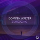 Dominik Walter - Stargazing