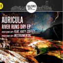 Auricula Ft Katy Coffey - River Runs Dry (Instrumental)